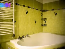 Pronájem bytu 1+1, Štramberk, Závišická, 41 m2