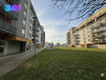 Pronájem bytu 4+kk, Ostrava, U Soudu, 131 m2