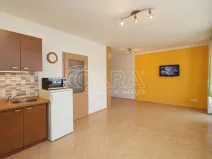 Pronájem bytu 1+kk, Praha, 42 m2