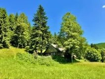 Prodej chalupy, Malá Úpa, 158 m2