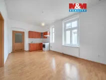 Pronájem bytu 1+1, Plzeň - Východní Předměstí, 44 m2