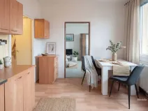 Prodej bytu 1+1, České Budějovice - České Budějovice 3, Plzeňská, 30 m2