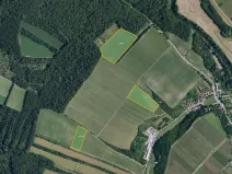 Prodej sadu/vinice, Bulhary, 93618 m2