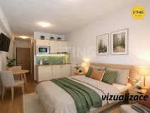 Pronájem bytu 1+kk, Všemina, 24 m2