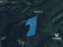 Prodej podílu lesa, Morávka, 4 m2