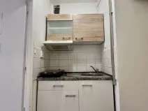 Pronájem bytu 1+kk, Ostrava - Hrabůvka, Krakovská, 21 m2