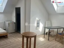 Pronájem atypického bytu, Praha, Zenklova, 17 m2