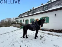 Prodej ubytování, Rozvadov - Svatá Kateřina, 650 m2