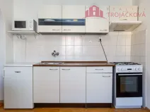 Prodej bytu 1+1, Ostrava - Mariánské Hory, 28. října, 48 m2