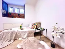 Prodej bytu 1+1, Praha - Žižkov, Biskupcova, 29 m2