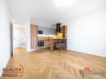Pronájem bytu 2+kk, Brno - Staré Brno, Nové sady, 59 m2