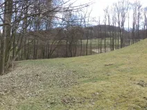 Prodej pole, Heřmanov - Fojtovice, 4633 m2