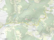 Dražba lesa, Vranová Lhota, 5323 m2