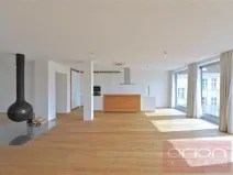 Pronájem bytu 4+kk, Praha - Vinohrady, Laubova, 454 m2