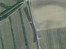 Prodej sadu/vinice, Čejkovice, 3575 m2