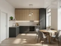 Prodej bytu 1+kk, České Budějovice - České Budějovice 3, Rudolfovská tř., 48 m2