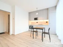 Pronájem bytu 1+kk, Brno, Rybářská, 29 m2