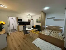 Pronájem bytu 1+kk, Praha - Žižkov, Olgy Havlové, 37 m2