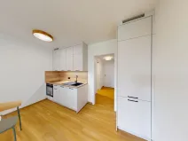 Pronájem bytu 1+kk, Ostrava - Slezská Ostrava, U Hájenky, 34 m2