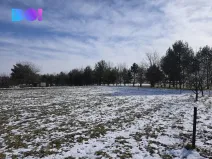 Prodej pozemku pro bydlení, Velké Albrechtice, 1067 m2