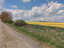 Dražba pozemku, Cebiv, 6401 m2