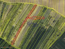 Prodej pole, Svatobořice-Mistřín, 2942 m2