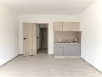 Pronájem bytu 1+kk, Ostrava - Hrabůvka, Krakovská, 22 m2