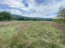 Dražba louky, Všenory, 601 m2