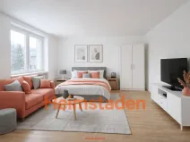 Pronájem bytu 1+kk, Karviná - Nové Město, Brožíkova, 28 m2