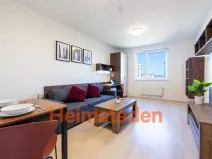 Pronájem bytu 2+1, Plzeň - Jižní Předměstí, Magisterská, 44 m2