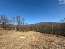 Prodej pozemku pro bydlení, Lom, Alšova, 2648 m2