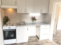 Pronájem bytu 2+1, Ostrava - Dubina, Jana Maluchy, 44 m2