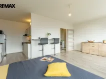 Prodej bytu 1+kk, Litvínov - Hamr, Přátelství, 33 m2