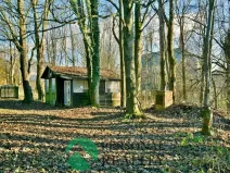 Pronájem chaty, Chodová Planá - Pístov, 28 m2