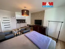 Pronájem bytu 1+kk, Ostrava - Moravská Ostrava, U Parku, 28 m2