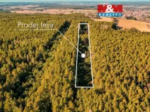 Prodej lesa, Olešnice, 18382 m2