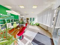 Pronájem obchodního prostoru, Příbram, Fibichova, 439 m2