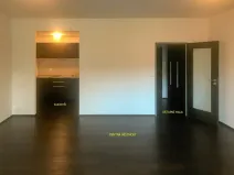 Pronájem bytu 1+kk, Brno, Hlinky, 44 m2