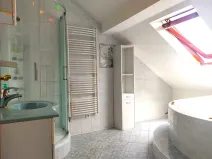 Pronájem bytu 3+1, Ostrava, Daliborova, 160 m2