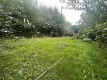 Prodej zahrady, Přerov, Jižní čtvrť I, 315 m2