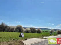 Prodej pozemku, Stolany, 2629 m2