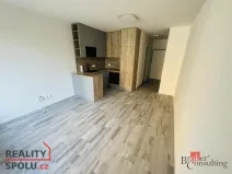 Pronájem bytu 1+kk, Plzeň - Východní Předměstí, Kartónová, 30 m2