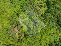 Prodej pozemku pro bydlení, Hrubá Skála, 5519 m2