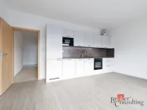 Prodej bytu 2+kk, Plzeň - Jižní Předměstí, Železná, 55 m2