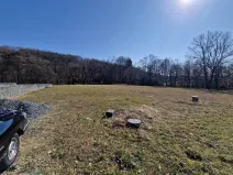 Prodej pozemku, Velká Polom, Okružní, 6038 m2