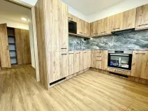 Pronájem bytu 1+1, Ostrava - Hrabůvka, Dr. Martínka, 37 m2