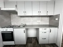 Pronájem bytu 1+1, Ostrava - Mariánské Hory, Václavská, 26 m2