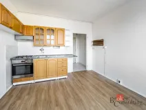 Pronájem bytu 1+1, České Budějovice - České Budějovice 3, Puklicova, 37 m2