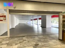 Pronájem obchodního prostoru, Karviná - Fryštát, tř. 17. listopadu, 428 m2