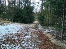 Prodej lesa, Červená Řečice, 158 m2